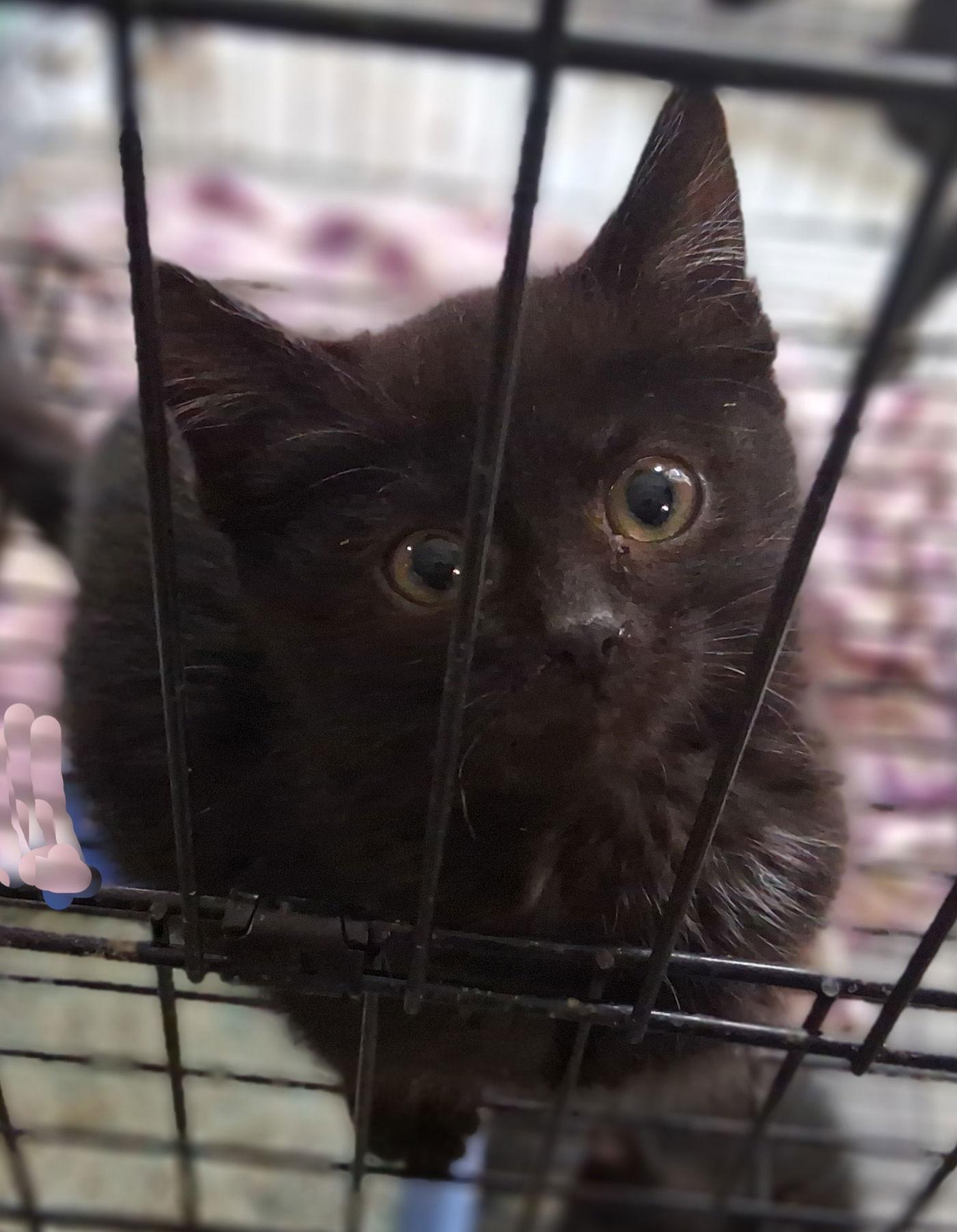 Princess thumbnail 3