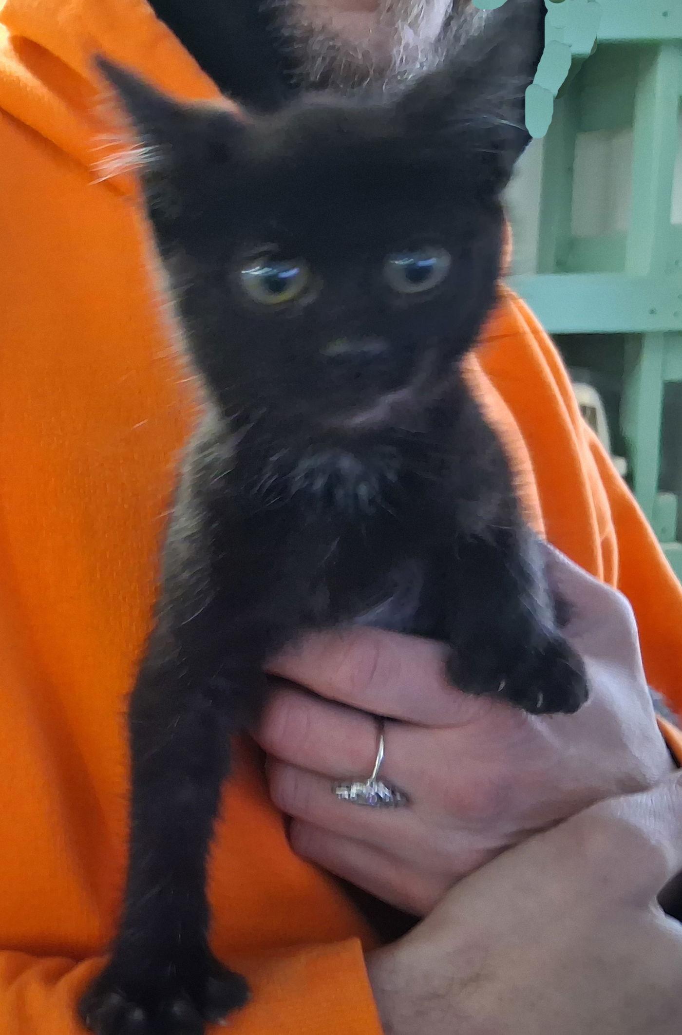 Princess thumbnail 4