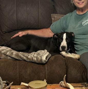 Woodstock - Video- Asheville