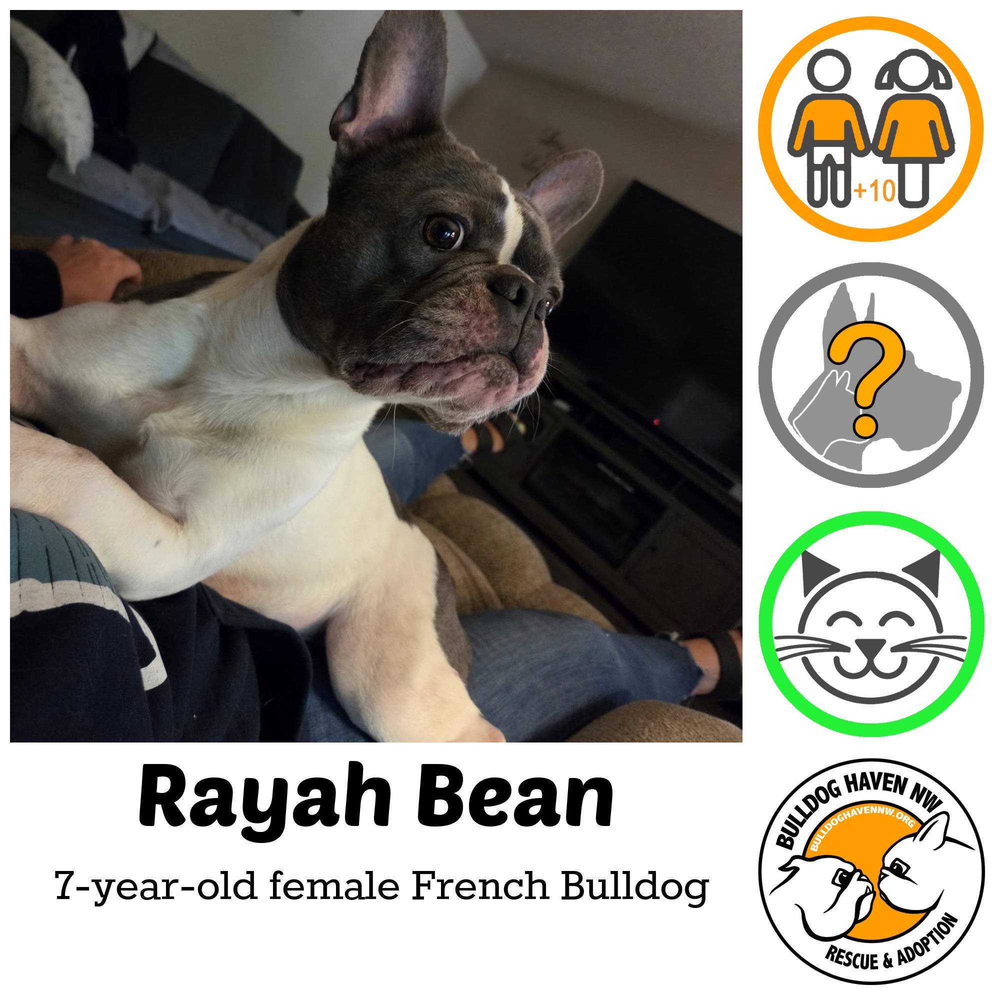 RAYAH BEAN