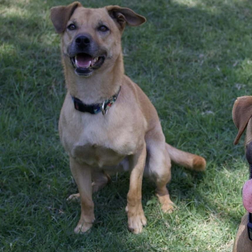 Felipe (20241227-02)