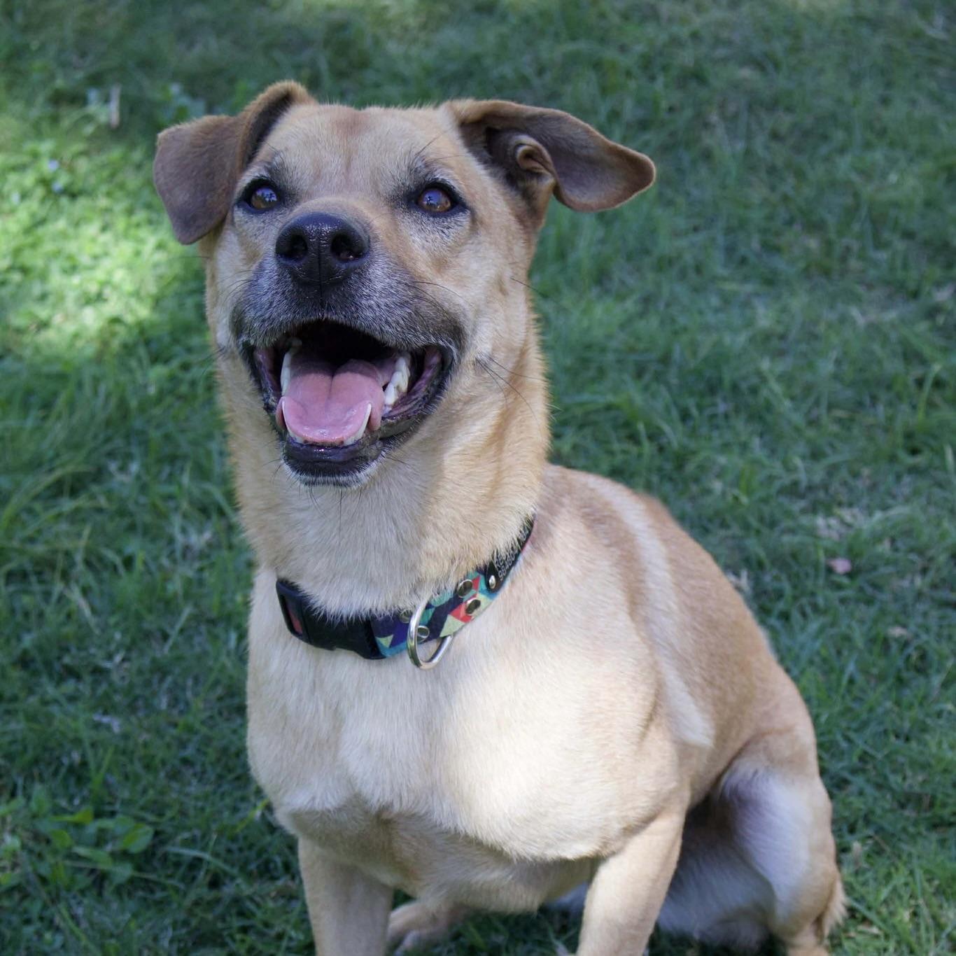 Felipe (20241227-02) — thumbnail 2