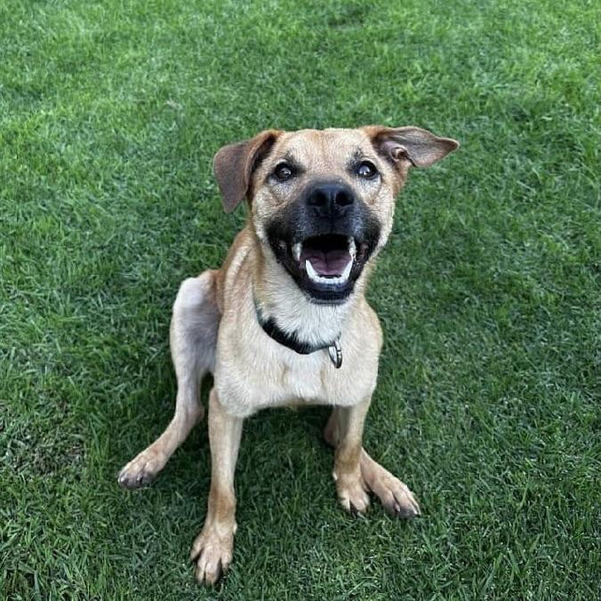 Felipe (20241227-02) — thumbnail 3