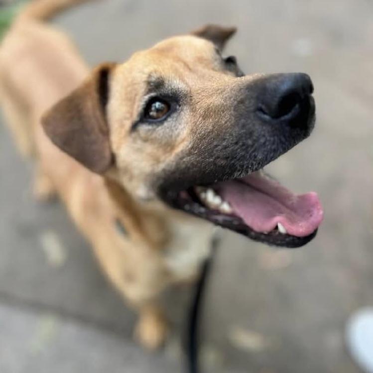 Felipe (20241227-02) — thumbnail 5