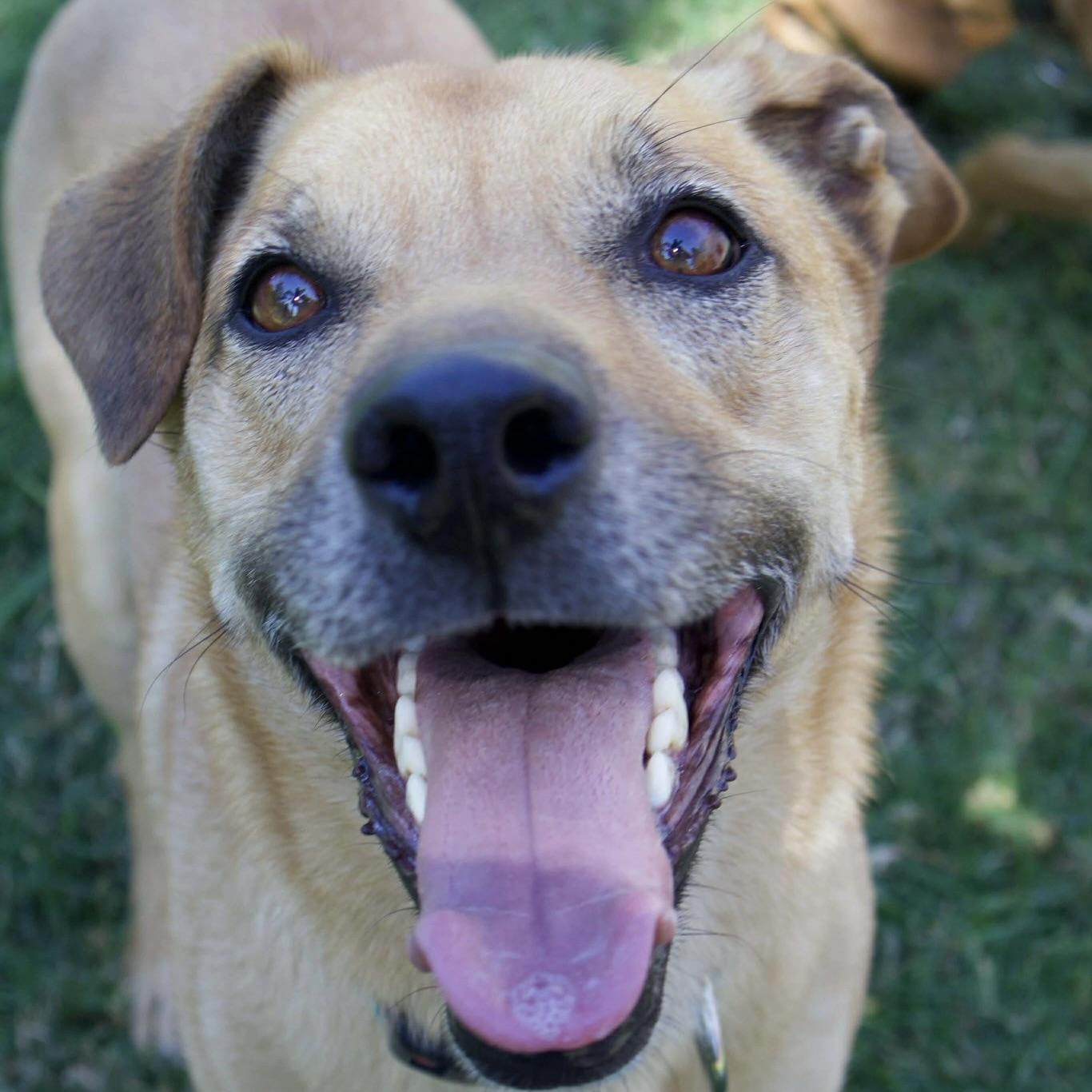 Felipe (20241227-02) — thumbnail 6