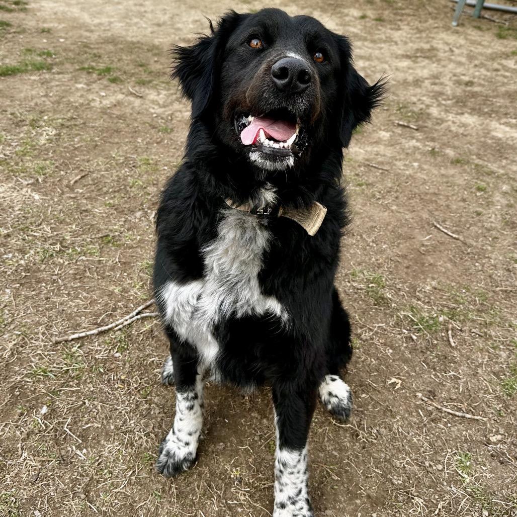 Artie — thumbnail 2