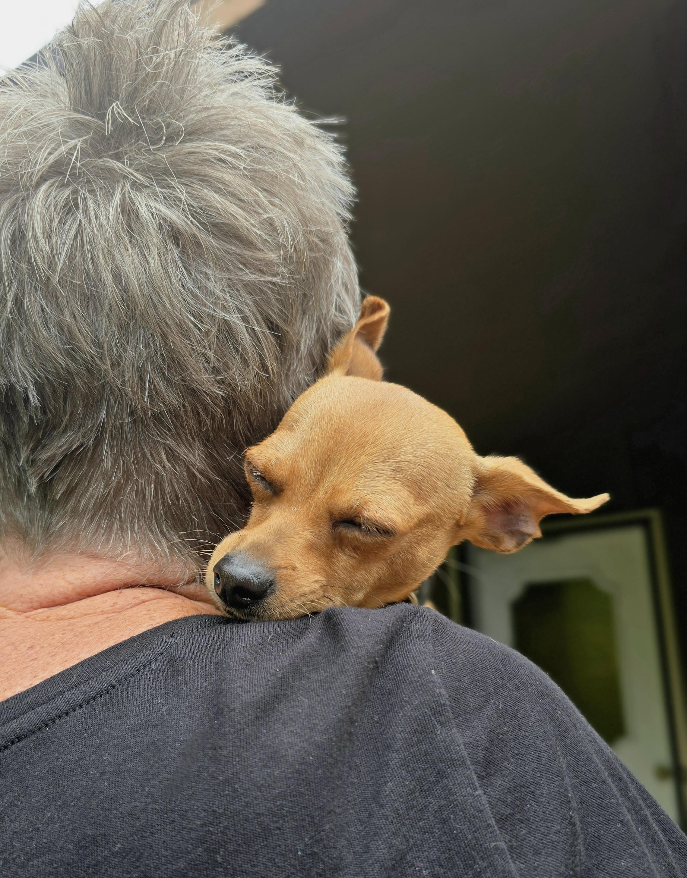 Frankie photo 4