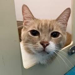 Fynn, Senior Male unknown