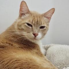 Fynn photo 5