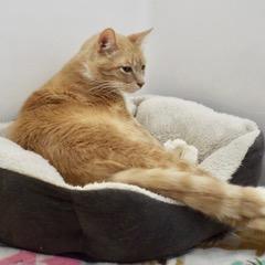 Fynn photo 4