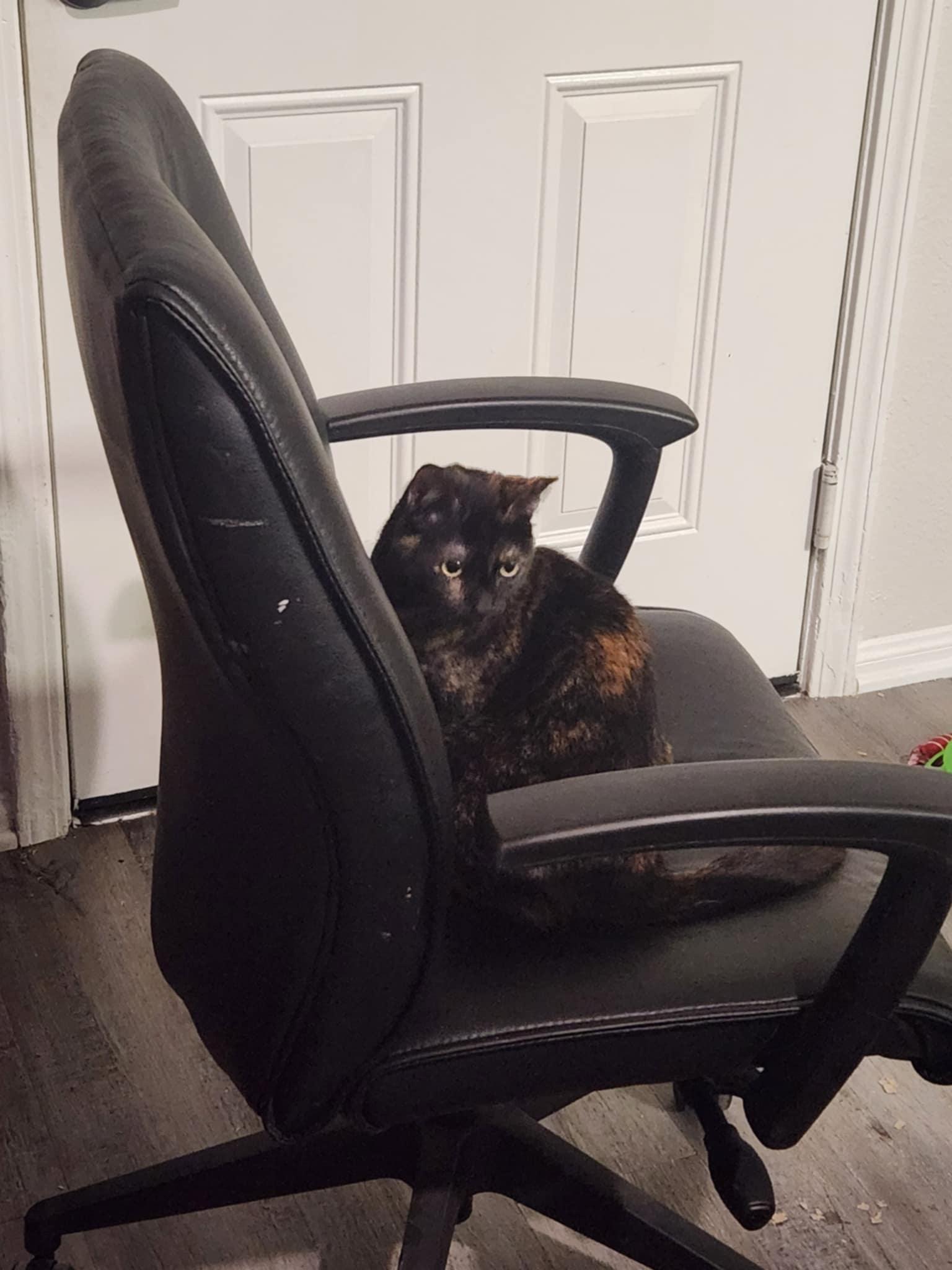 CAPTAIN JESSICA CORTEZ 2