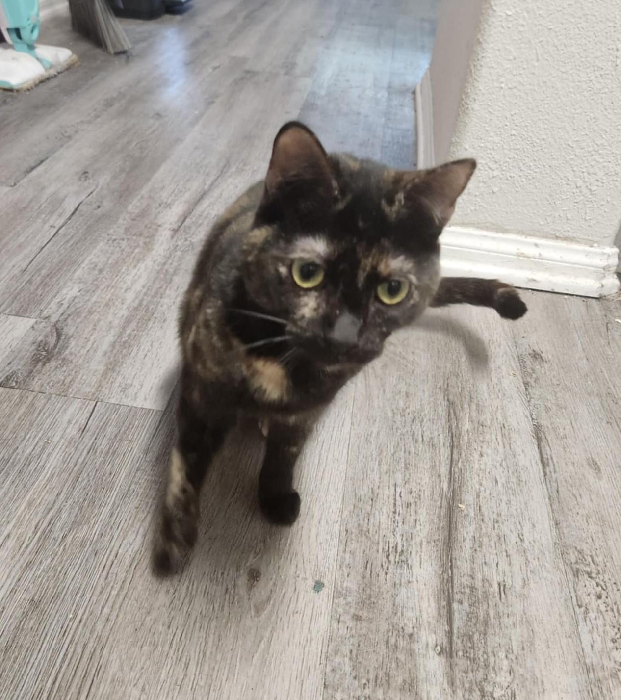 CAPTAIN JESSICA CORTEZ