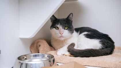 Freckles — thumbnail 2