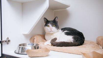 Freckles — thumbnail 3