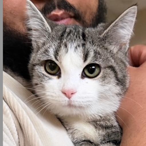 Lexapro — thumbnail 3