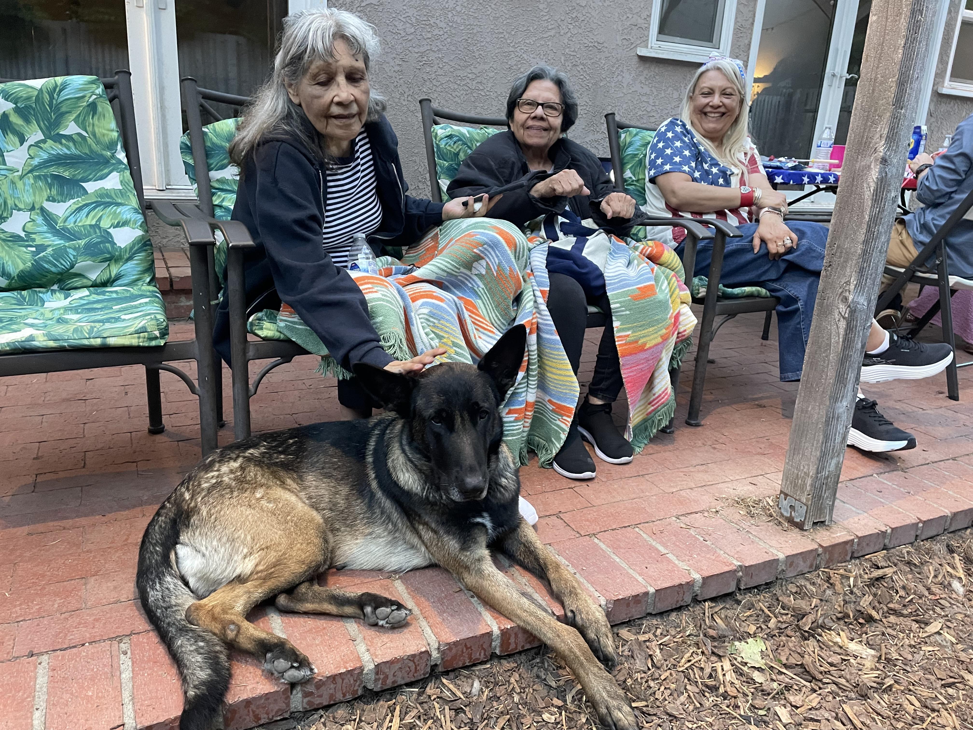 Diamond, a ADOPTABLE Belgian Shepherd / Malinois in Thousand Oaks, CA image 5/6