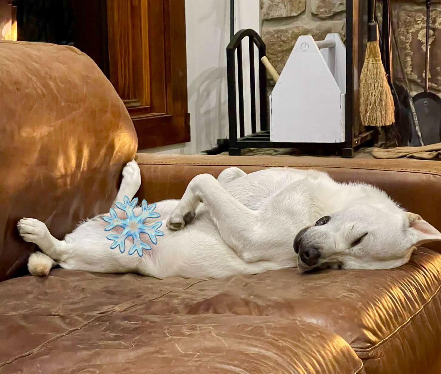 Kramer Lonestar thumbnail 2