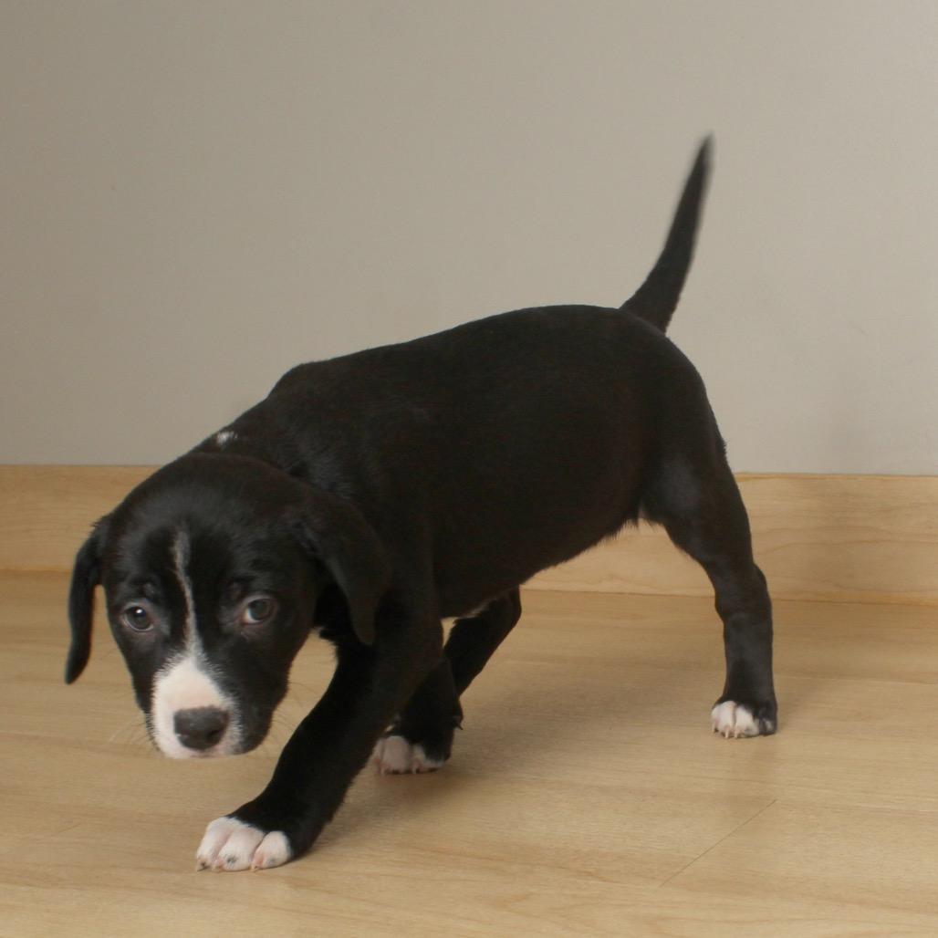 Miriam D thumbnail 2