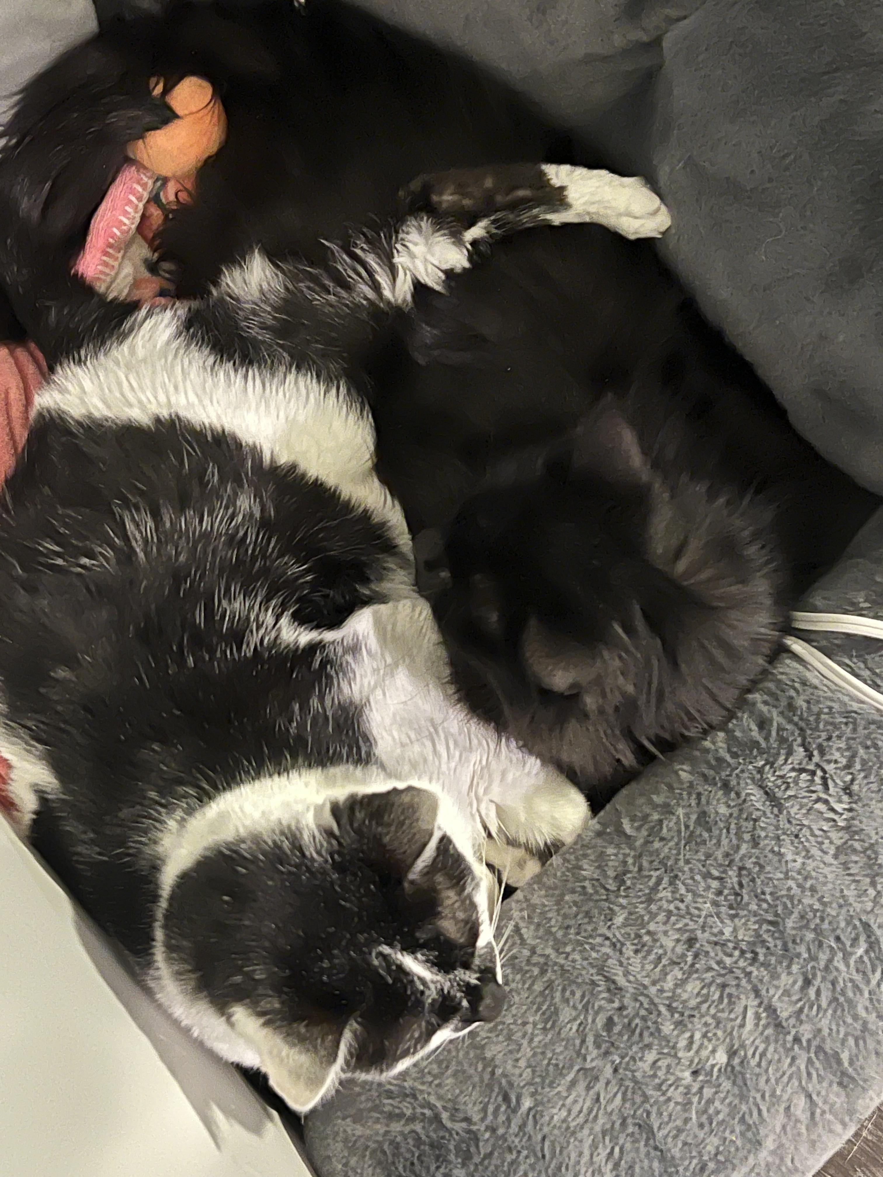 Smudge In Co  thumbnail 2