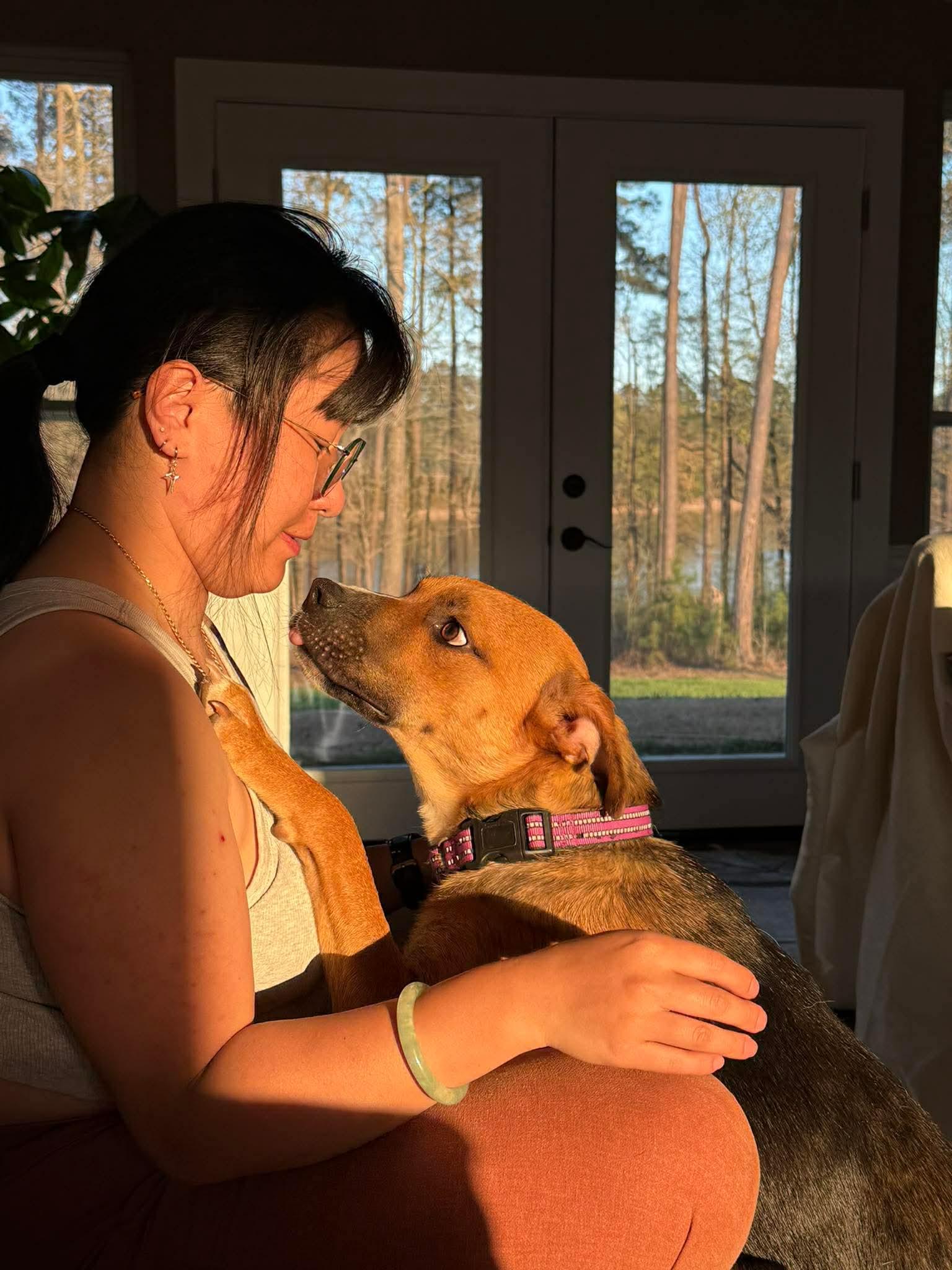 Enlarge Hunter, a ADOPTABLE mixed breed in Charlotte, NC image 3/6