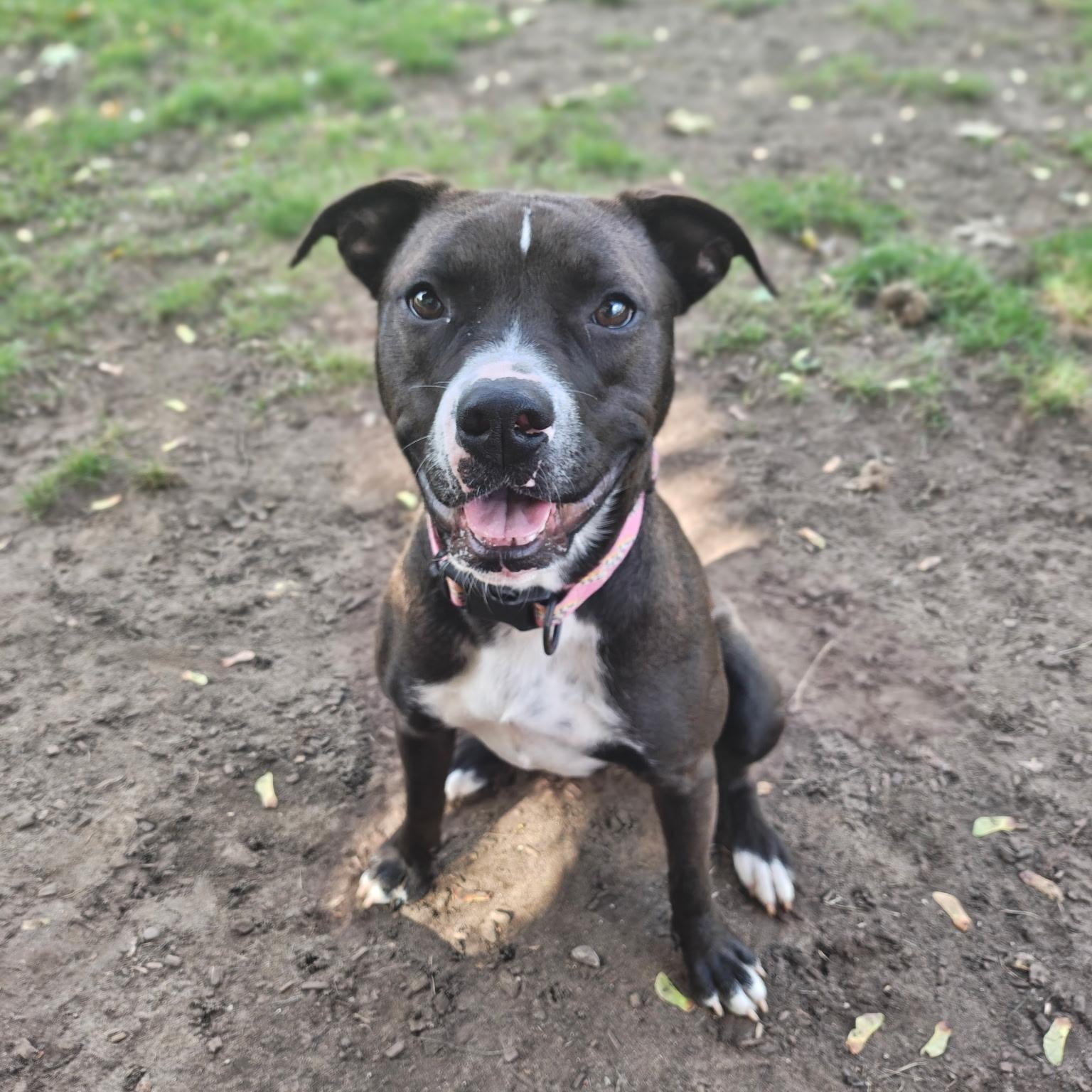 Mia Bella photo