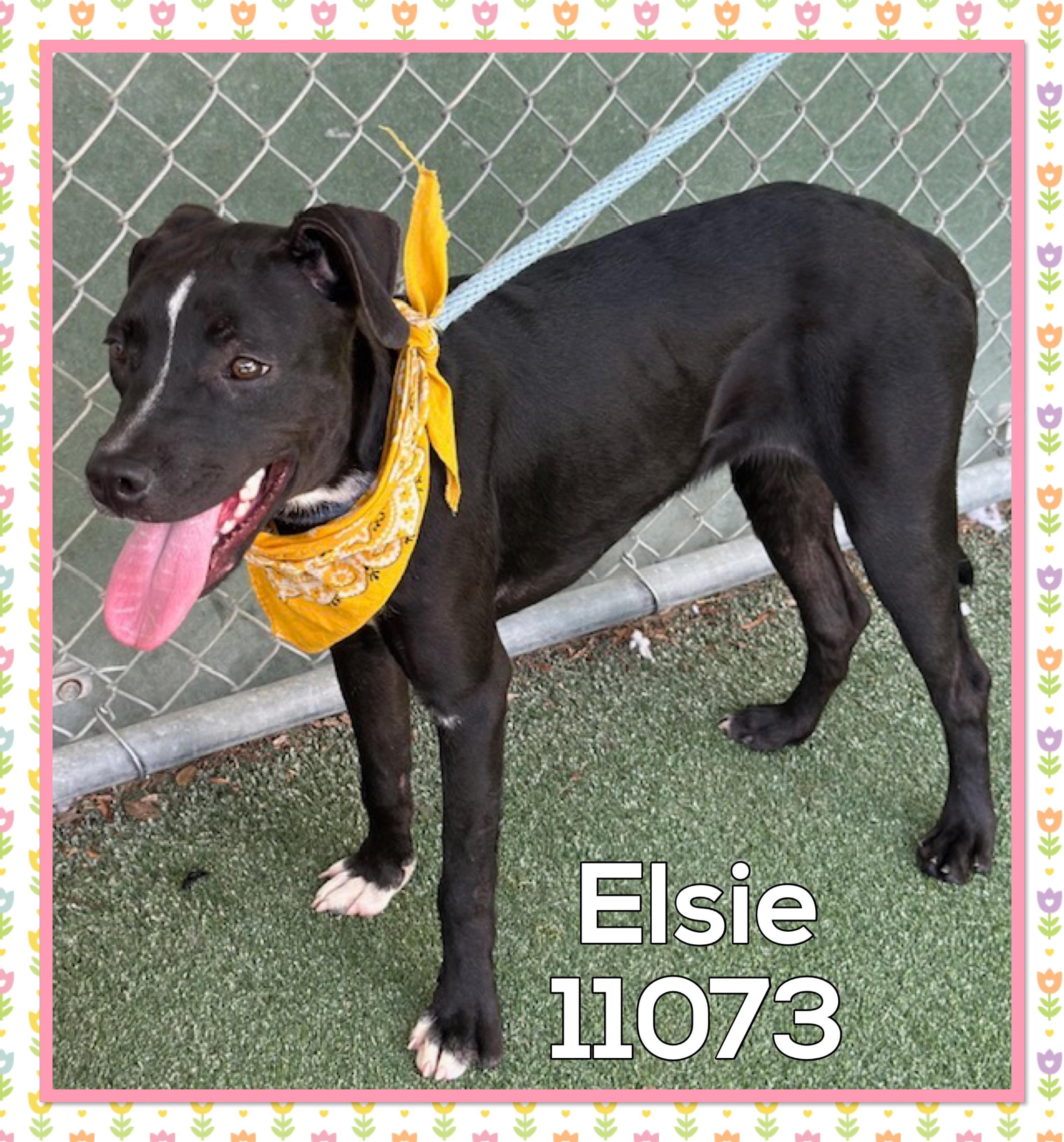 ELSIE