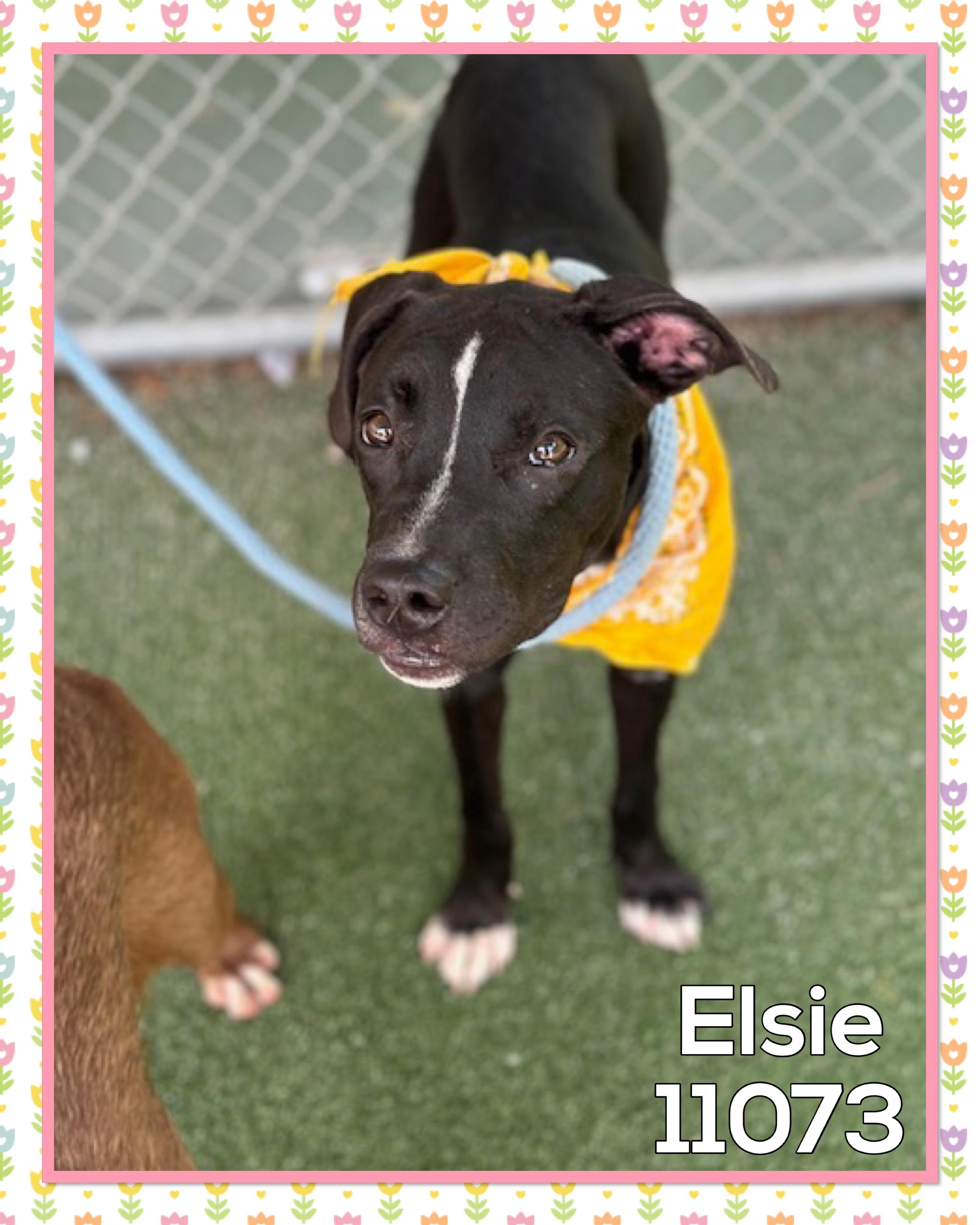 ELSIE