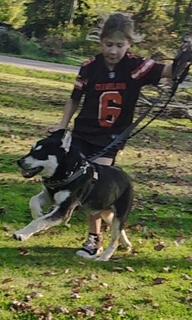 Enlarge Hutch, a Adoptable mixed breed in Steubenville, OH image 2/5