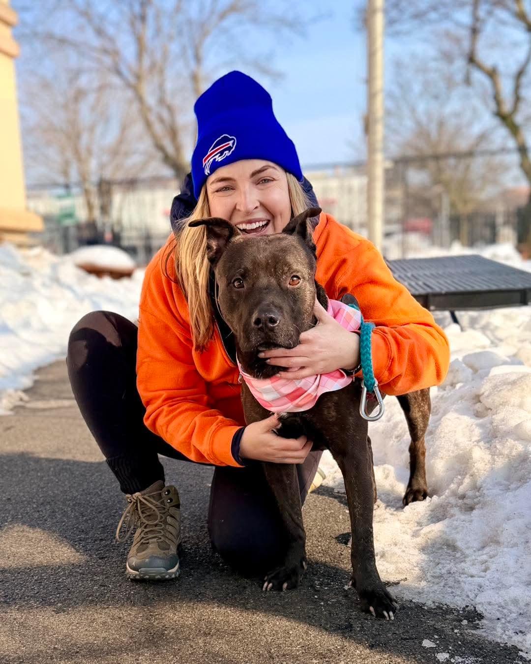 Enlarge Moe, a ADOPTABLE mixed breed in Buffalo, NY image 5/5