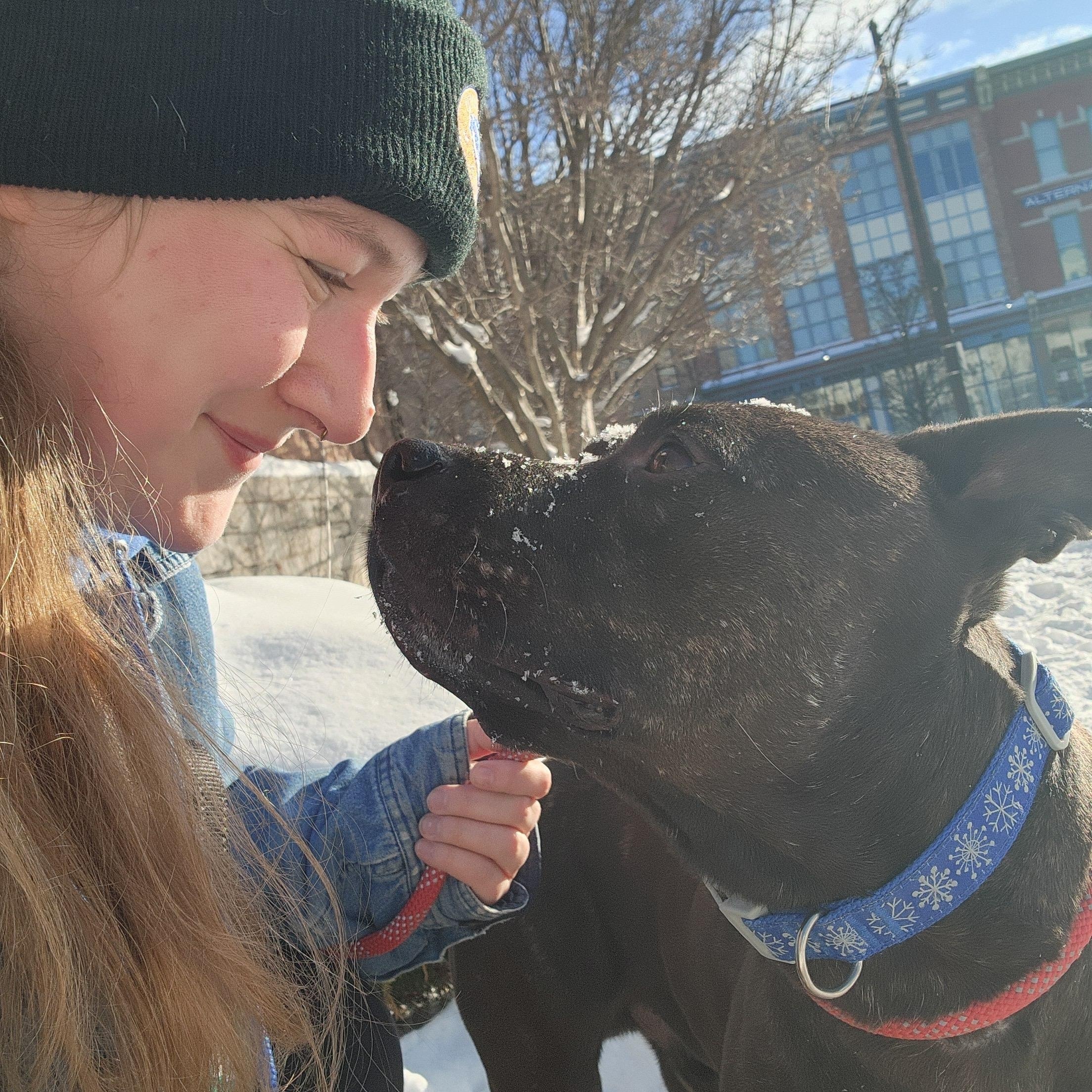 Moe, a ADOPTABLE mixed breed in Buffalo, NY image 2/5