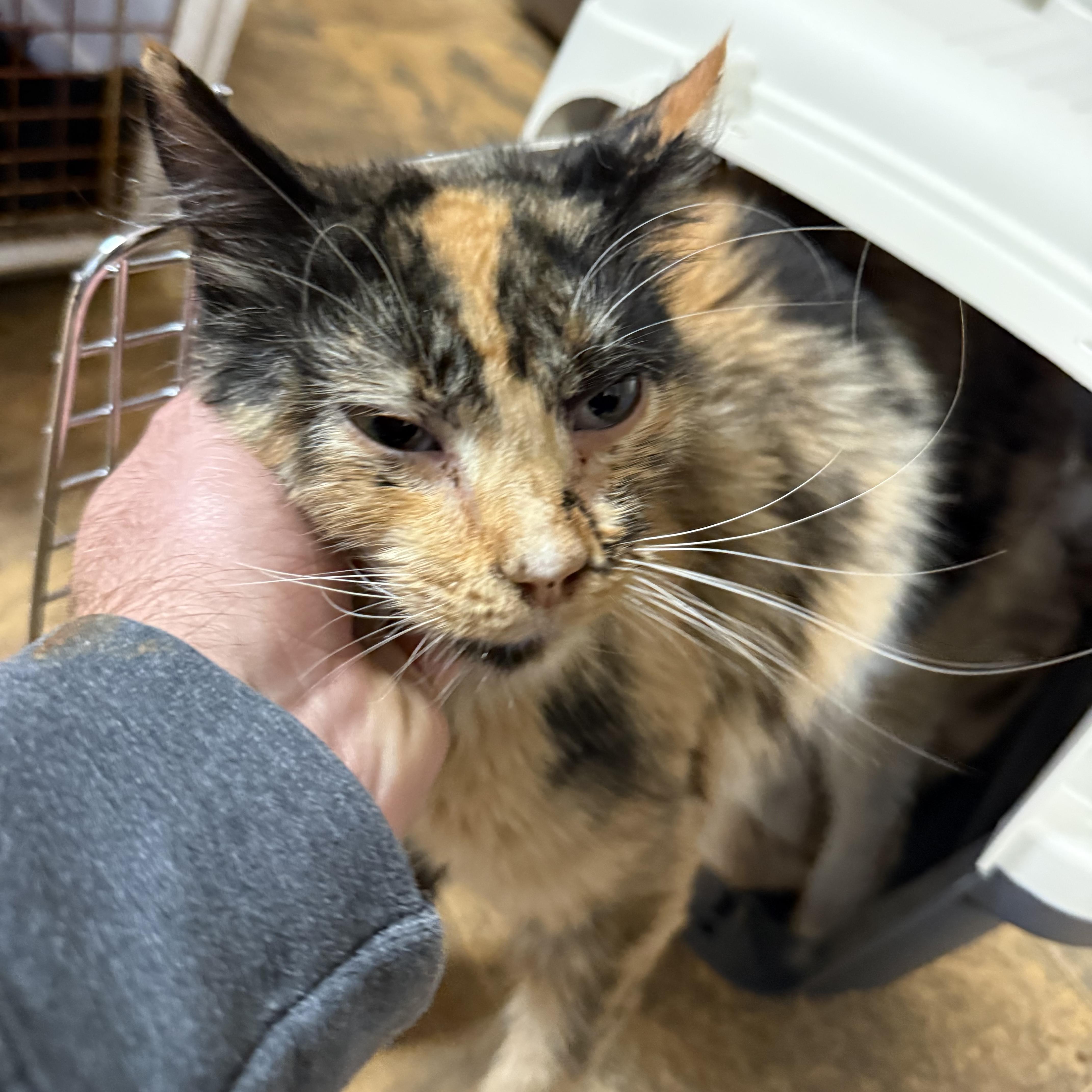 Tenthirty thumbnail 2