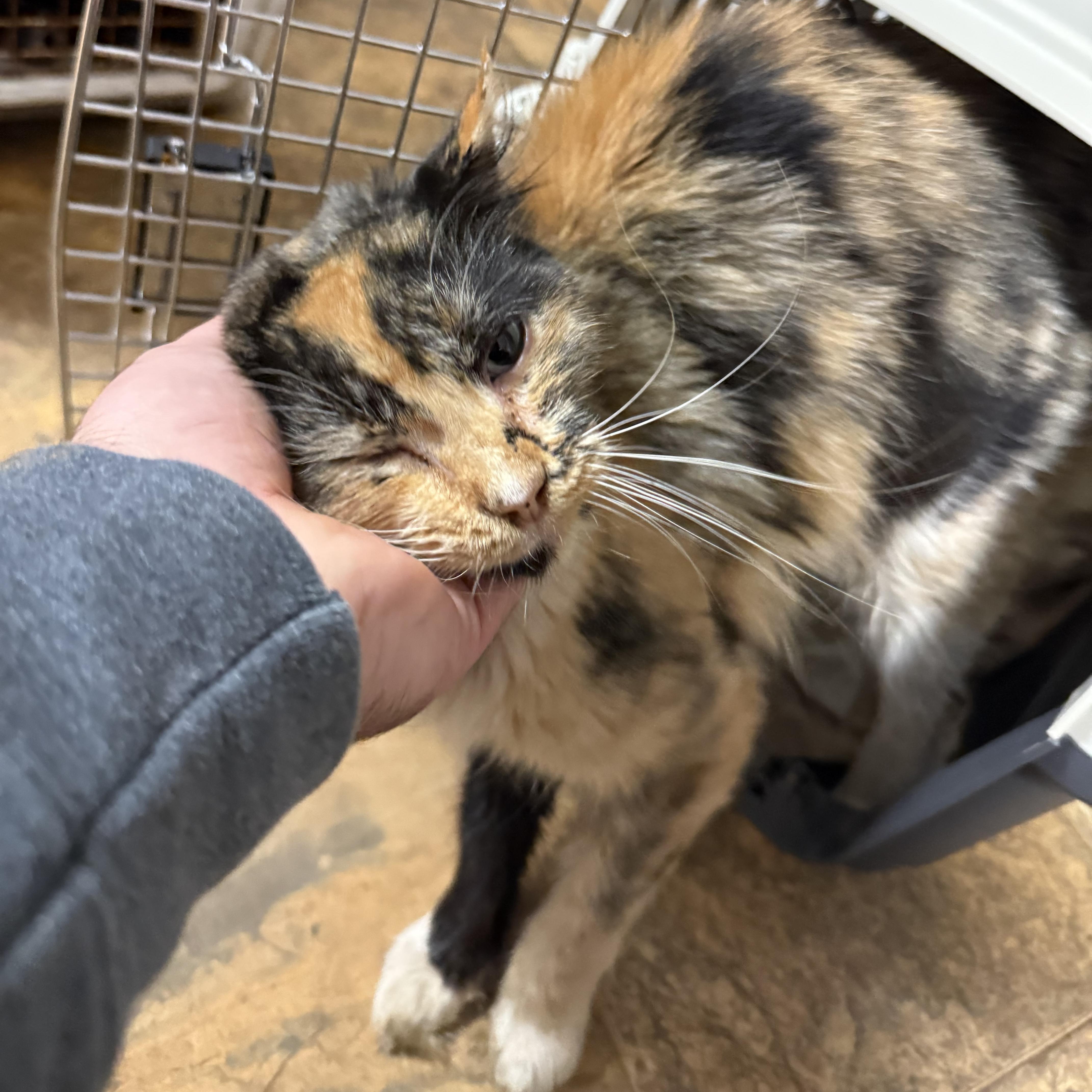 Tenthirty thumbnail 3