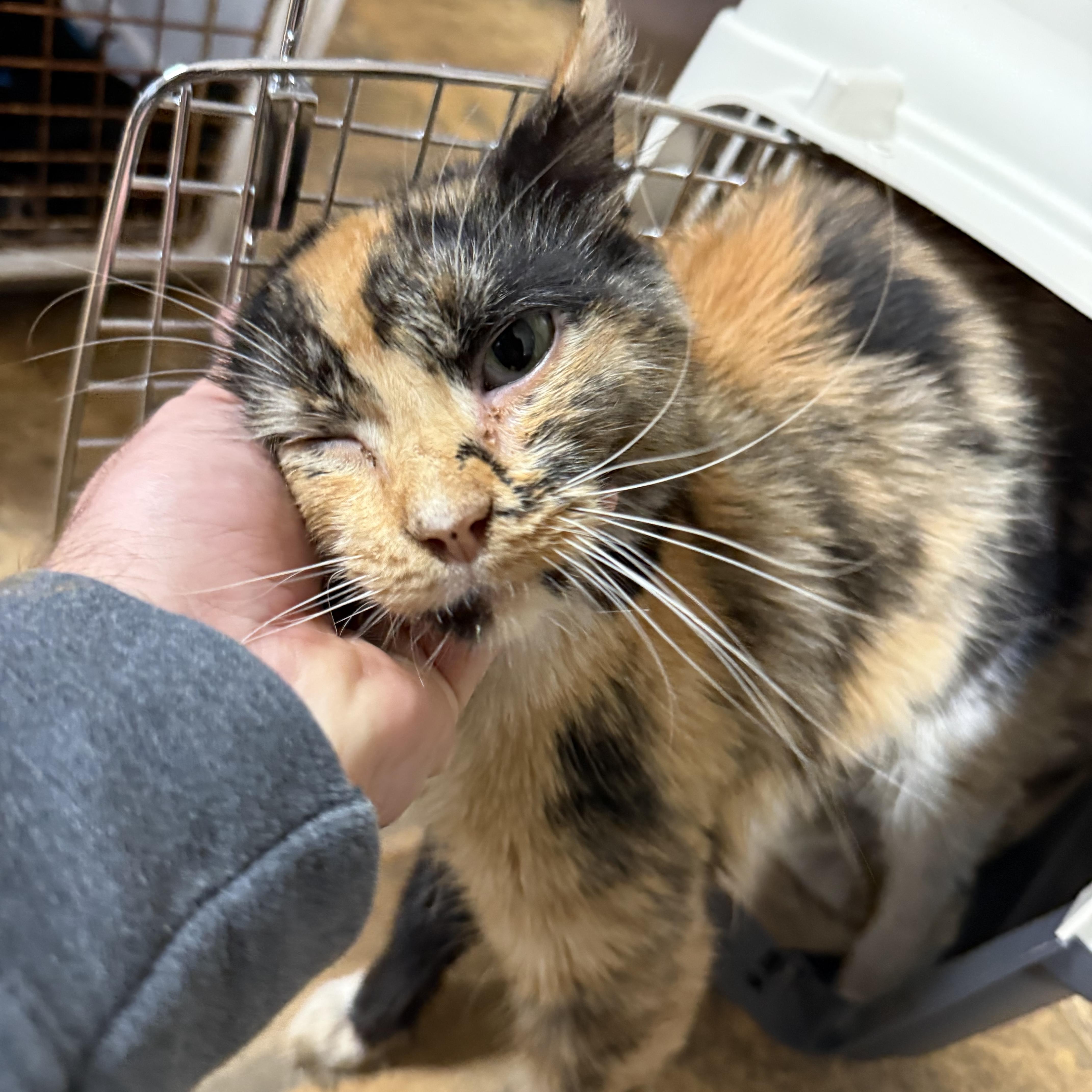 Tenthirty thumbnail 4