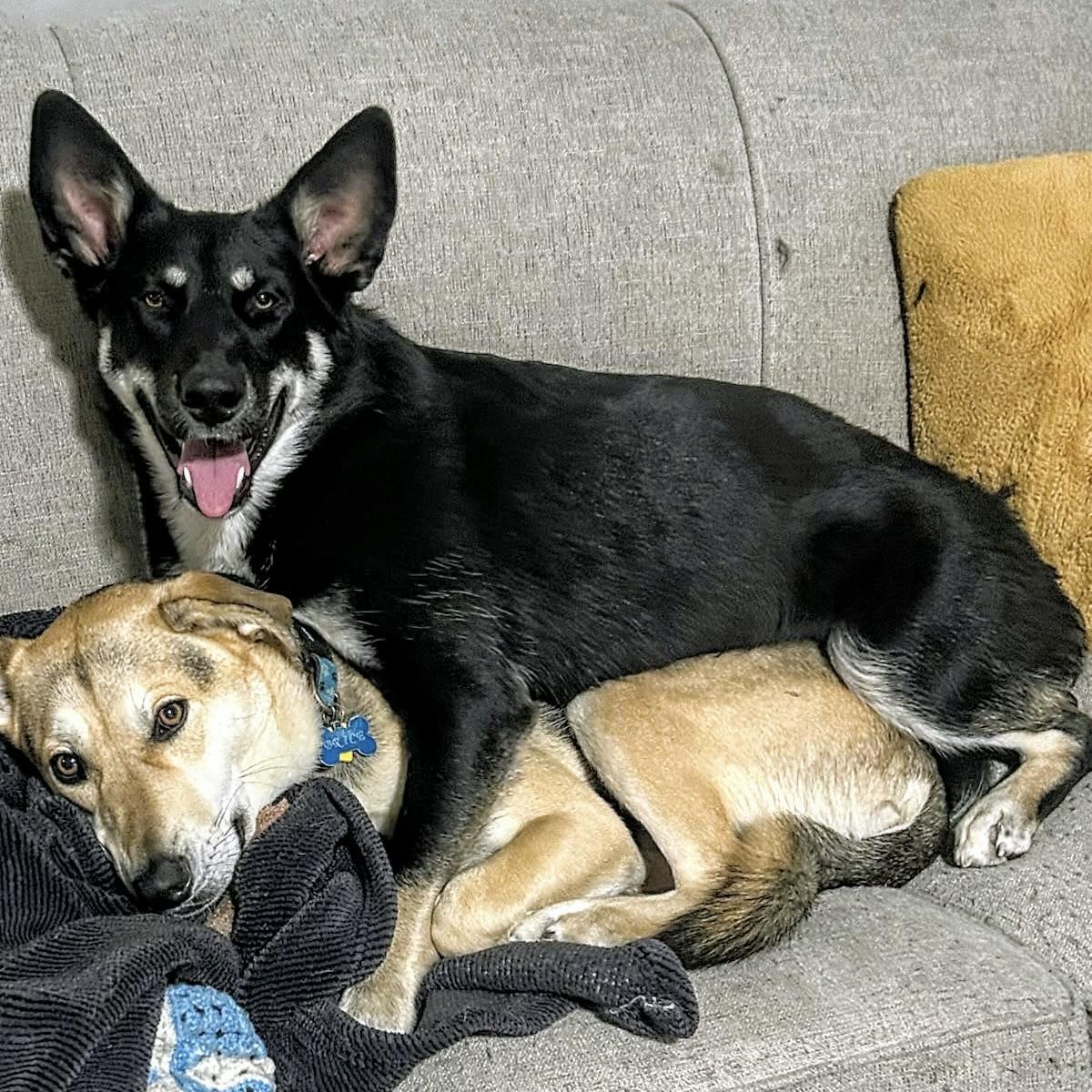 Misko (20250702-05) — thumbnail 5