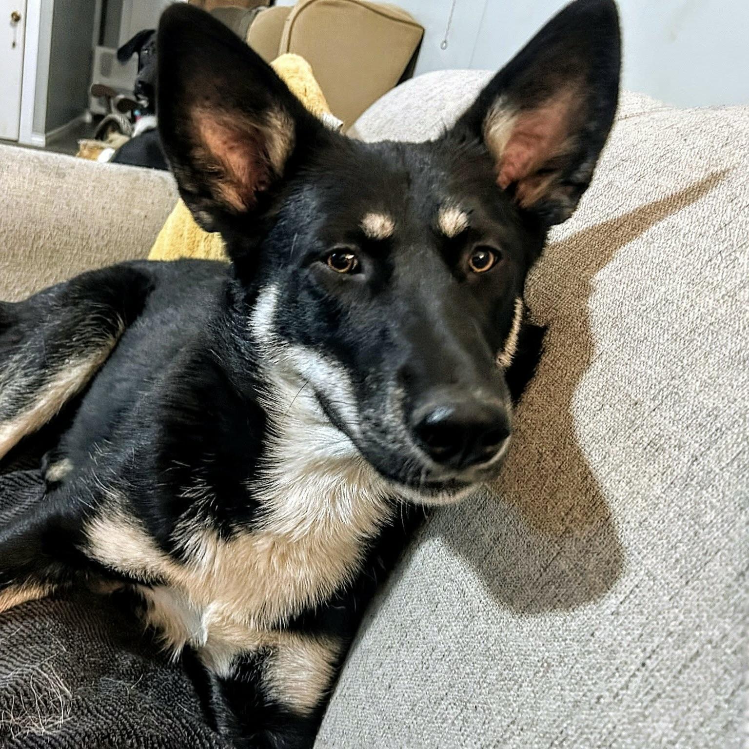 Misko (20250702-05) — thumbnail 6