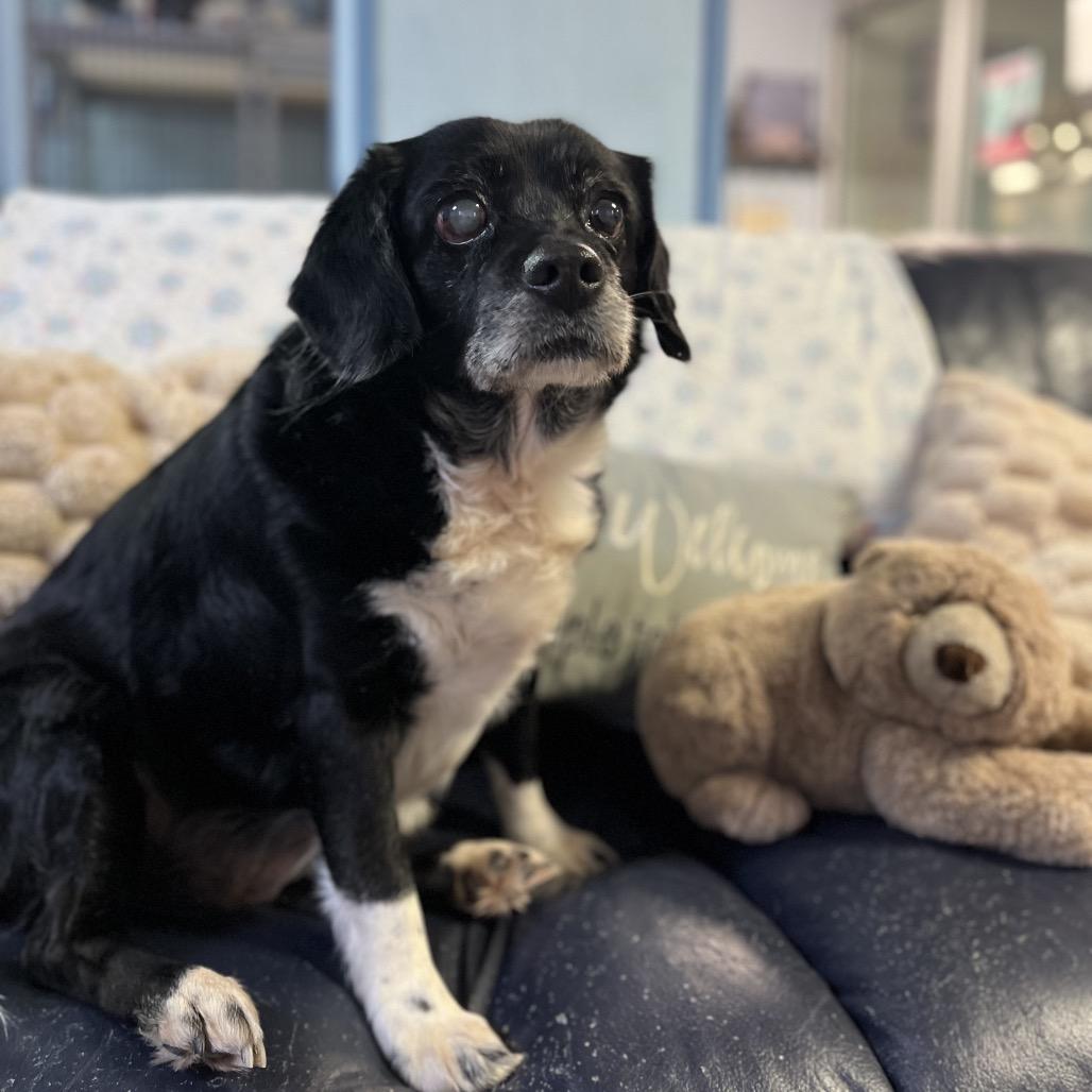 Booboo — thumbnail 3