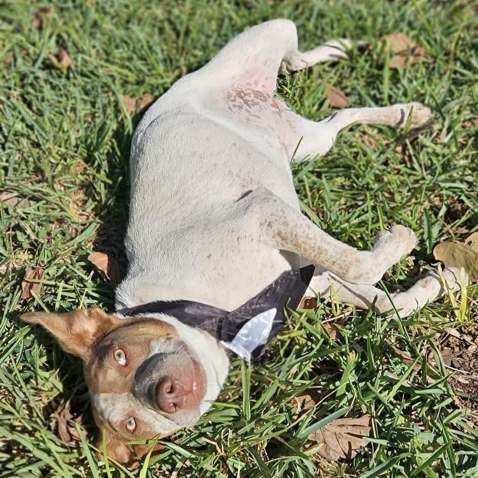 Riley — thumbnail 6