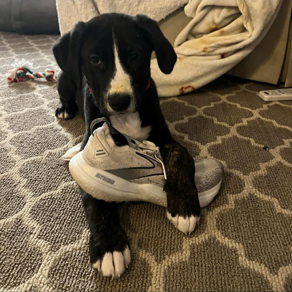 Captain America thumbnail 4