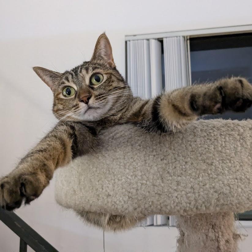 Ruby — thumbnail 3