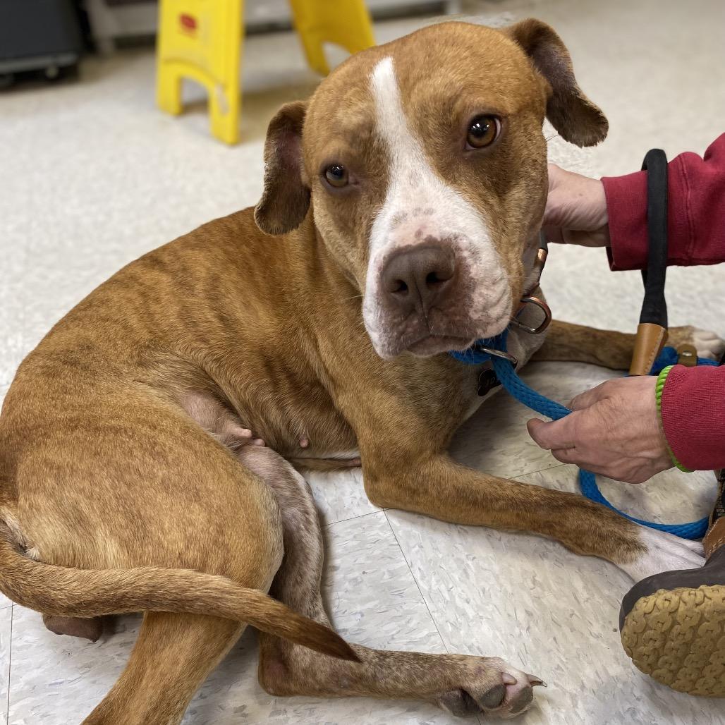 Moonpie 3422 — thumbnail 2