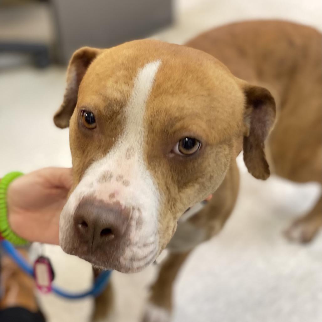 Moonpie 3422 — thumbnail 3