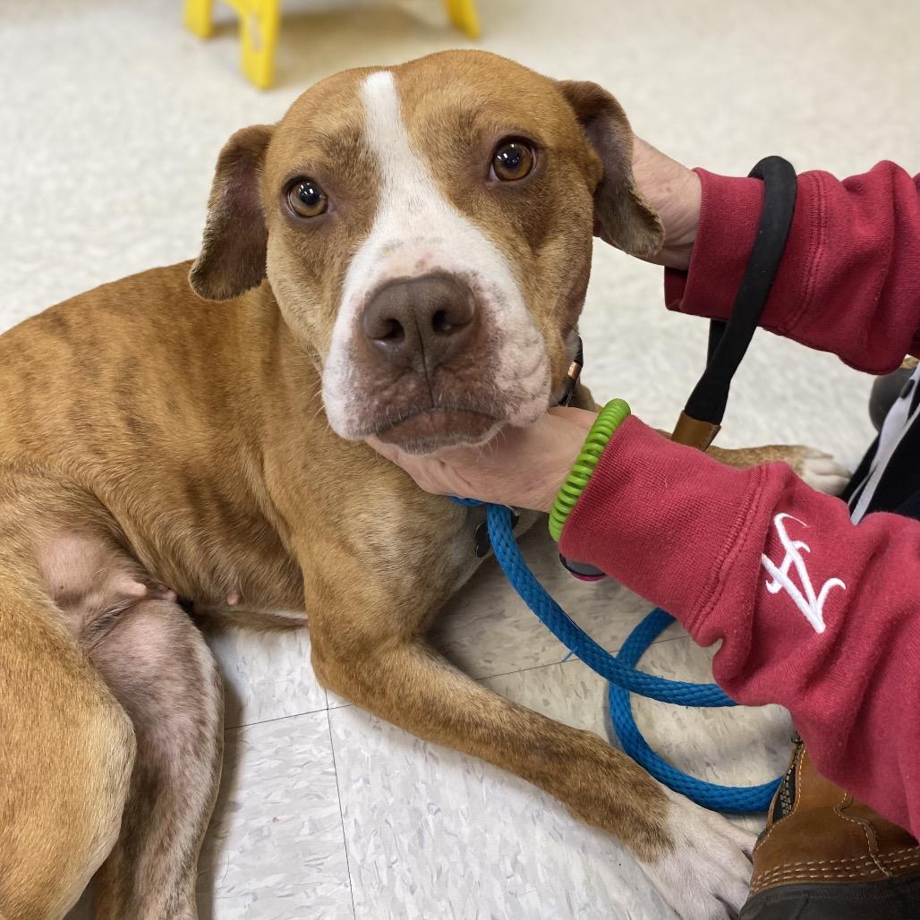 Moonpie 3422 — thumbnail 4