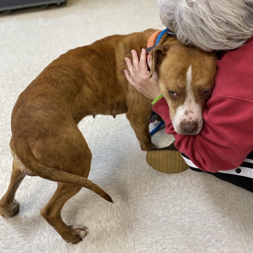 Moonpie 3422 — thumbnail 6