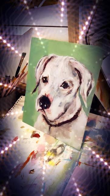 Ghost - Deaf special needs, Adoptable, Senior Male Pit Bull Terrier.