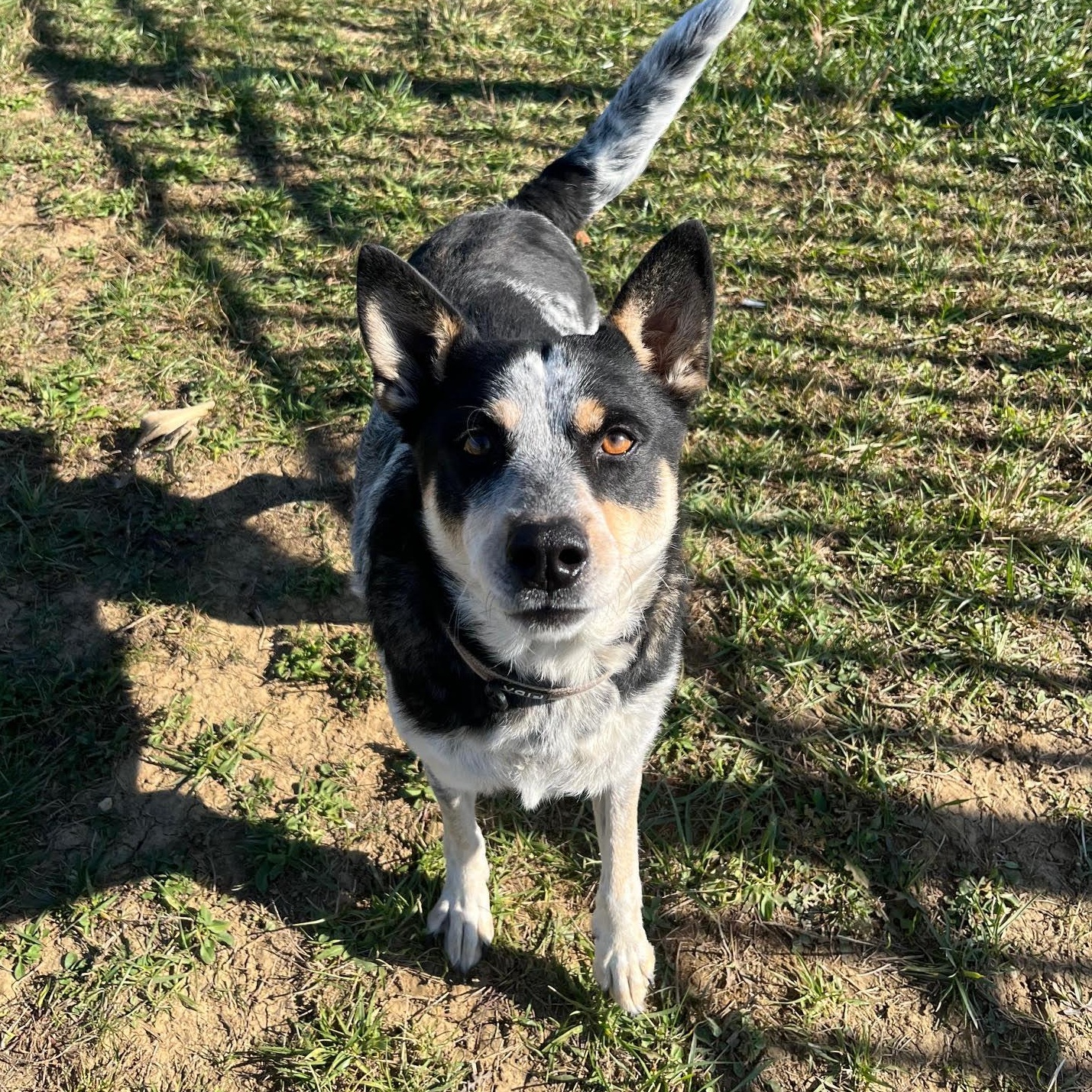 Anya @ Prison Training Program 4