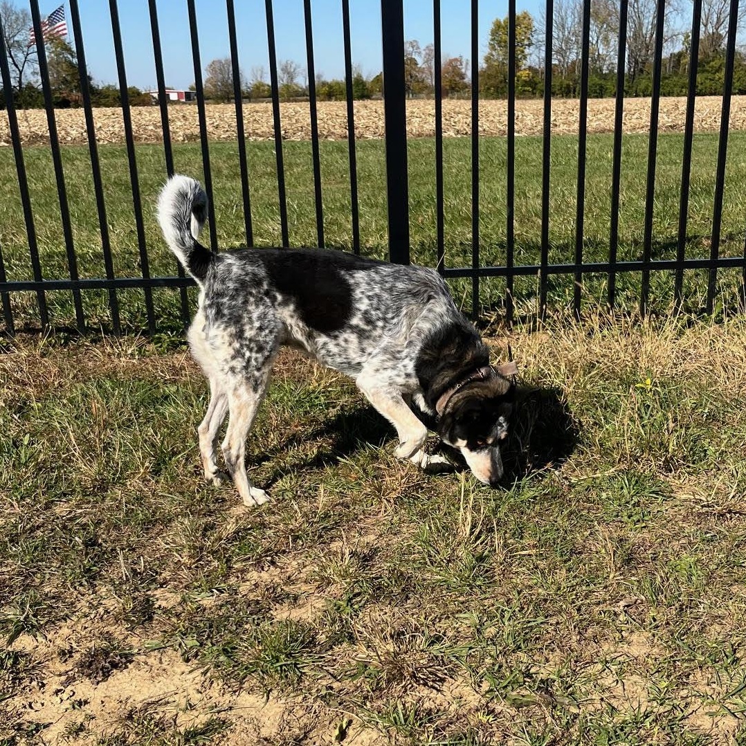 Anya @ Prison Training Program 3