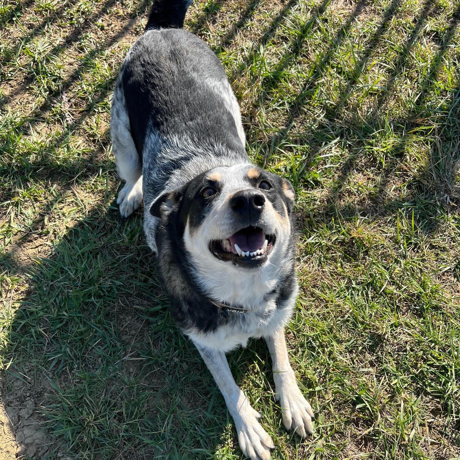 Anya @ Prison Training Program 5