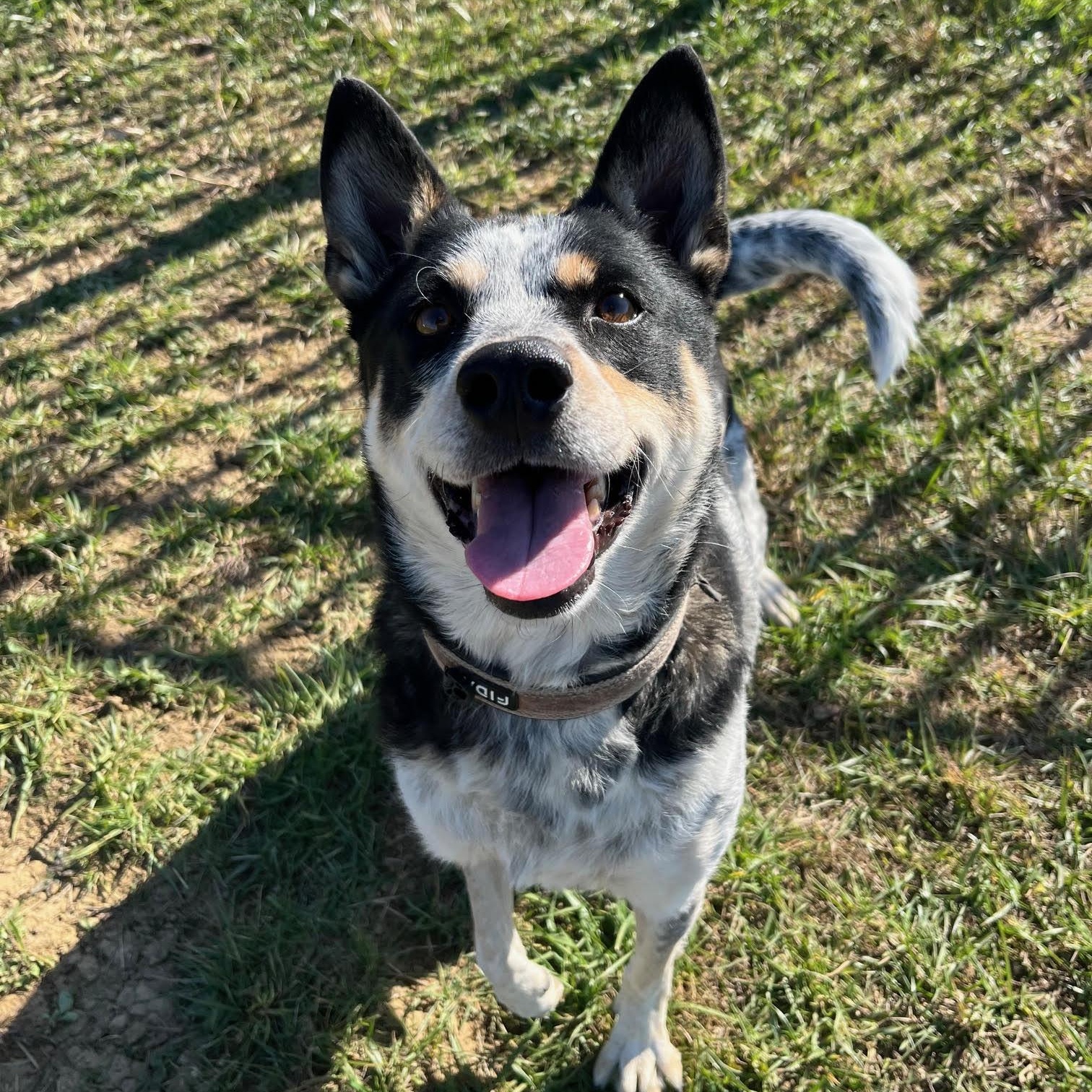 Anya @ Prison Training Program 2