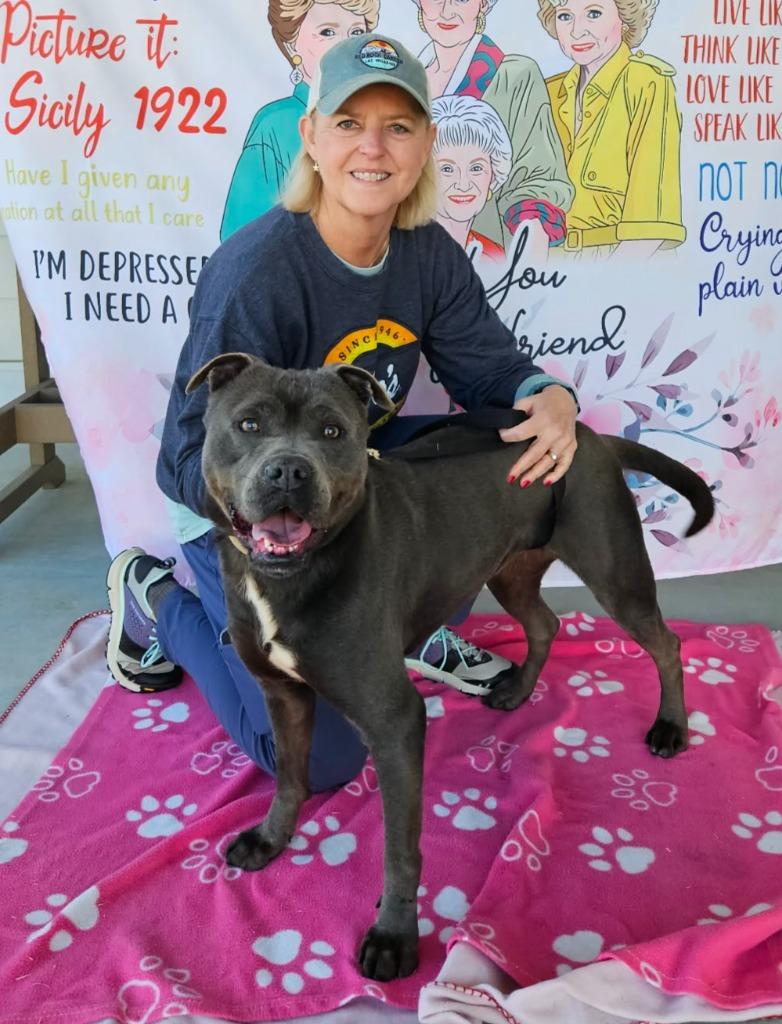 Enlarge Buffy, a Adoptable mixed breed in Hartsville, SC image 2/6