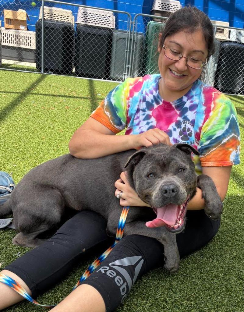 Enlarge Buffy, a Adoptable mixed breed in Hartsville, SC image 3/6